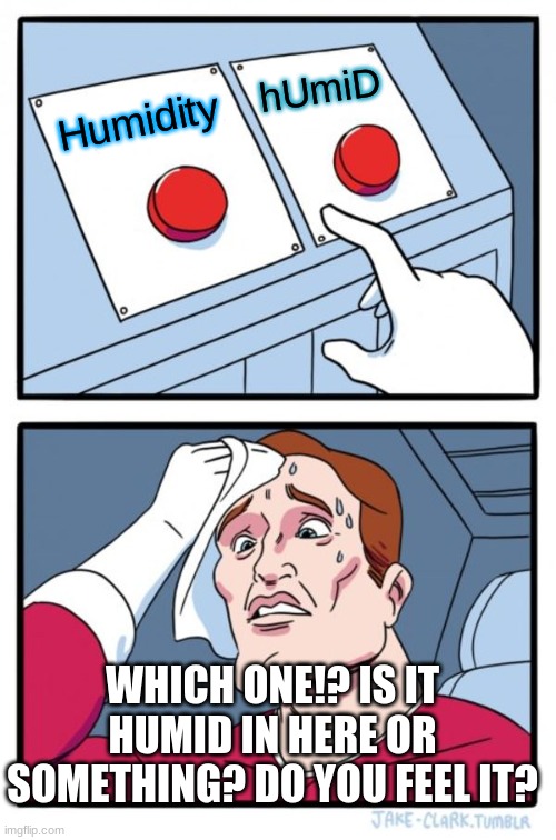 Two Buttons Meme | hUmiD; Humidity; WHICH ONE!? IS IT HUMID IN HERE OR SOMETHING? DO YOU FEEL IT? | image tagged in memes,two buttons | made w/ Imgflip meme maker