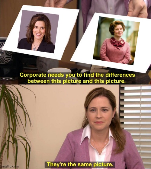 They are the same picture | image tagged in they are the same picture | made w/ Imgflip meme maker