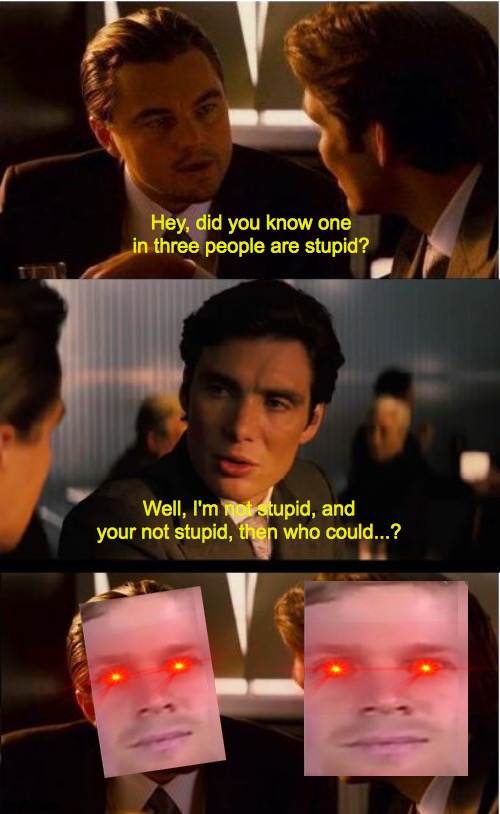 Inception Meme | Hey, did you know one in three people are stupid? Well, I'm not stupid, and your not stupid, then who could...? | image tagged in memes,inception | made w/ Imgflip meme maker