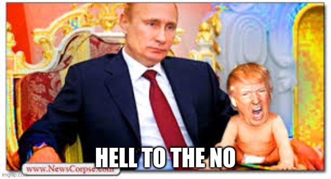 Trump Putin's Bitch | HELL TO THE NO | image tagged in trump putin's bitch | made w/ Imgflip meme maker