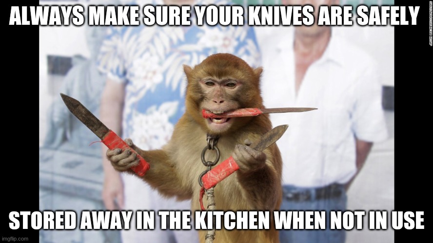 Monkey with Knives | ALWAYS MAKE SURE YOUR KNIVES ARE SAFELY; STORED AWAY IN THE KITCHEN WHEN NOT IN USE | image tagged in monkey with knives | made w/ Imgflip meme maker