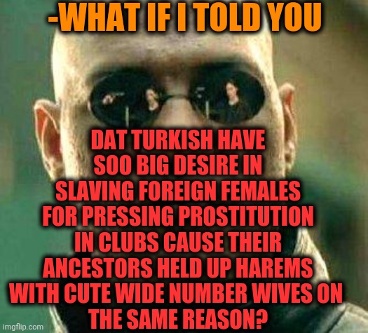 -Every man is wanted to being drown in tits! | -WHAT IF I TOLD YOU; DAT TURKISH HAVE SOO BIG DESIRE IN SLAVING FOREIGN FEMALES FOR PRESSING PROSTITUTION IN CLUBS CAUSE THEIR ANCESTORS HELD UP HAREMS WITH CUTE WIDE NUMBER WIVES ON 
THE SAME REASON? | image tagged in what if i told you,slavery,foreigner,female,turkey bacon,boris and natasha | made w/ Imgflip meme maker