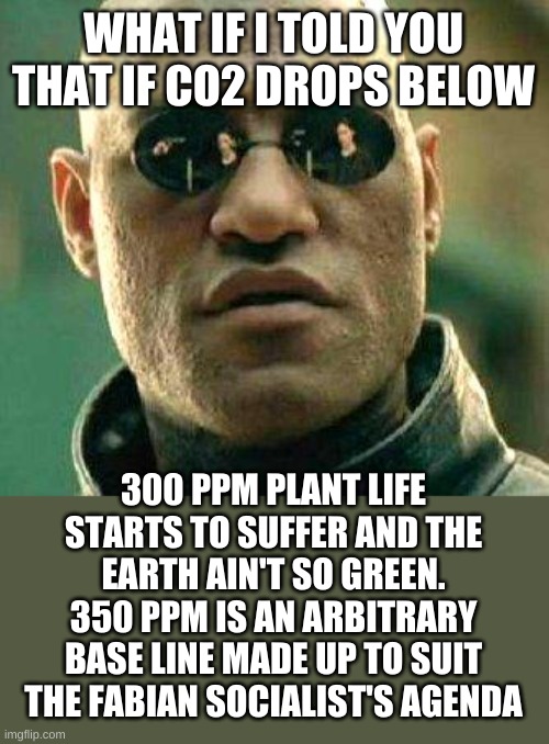 What if i told you | WHAT IF I TOLD YOU THAT IF CO2 DROPS BELOW; 300 PPM PLANT LIFE STARTS TO SUFFER AND THE EARTH AIN'T SO GREEN. 350 PPM IS AN ARBITRARY BASE LINE MADE UP TO SUIT THE FABIAN SOCIALIST'S AGENDA | image tagged in what if i told you | made w/ Imgflip meme maker