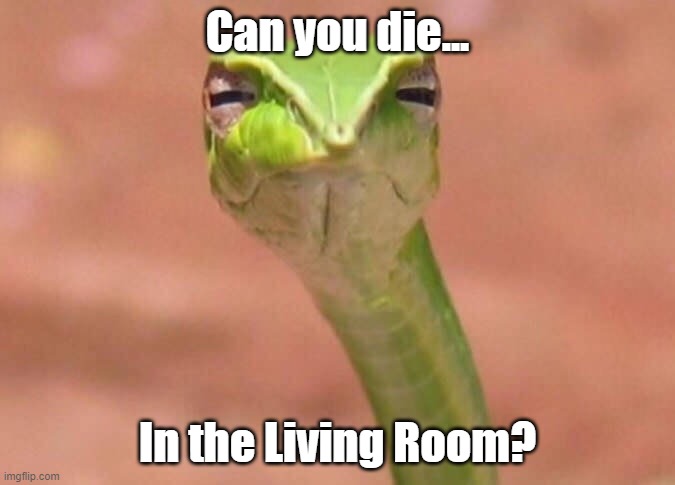 I pretty much doubt so... |  Can you die... In the Living Room? | image tagged in skeptical snake,living room,snake,snek,death,die | made w/ Imgflip meme maker