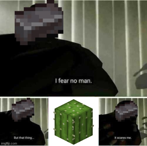 I fear no man | image tagged in i fear no man | made w/ Imgflip meme maker