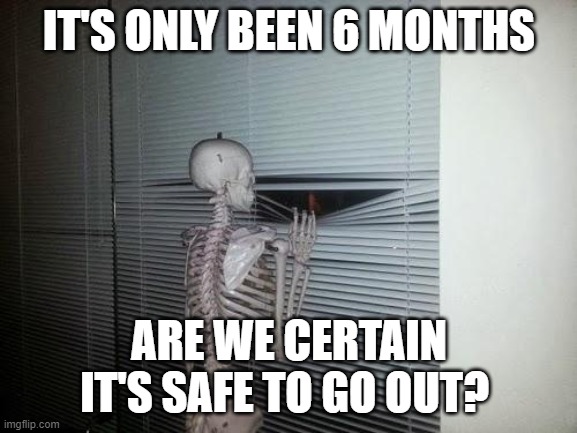 Waiting Skeleton |  IT'S ONLY BEEN 6 MONTHS; ARE WE CERTAIN IT'S SAFE TO GO OUT? | image tagged in waiting skeleton | made w/ Imgflip meme maker