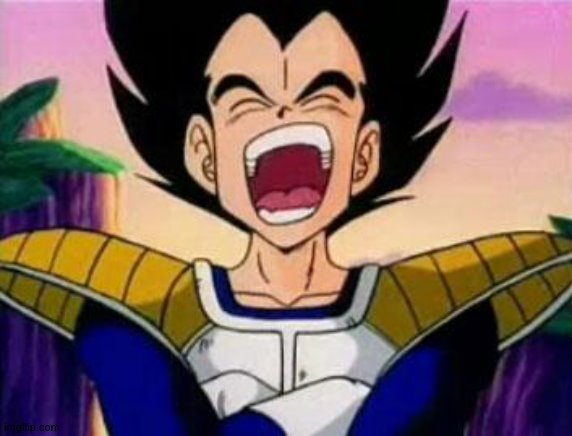 vegeta lol | image tagged in vegeta lol | made w/ Imgflip meme maker