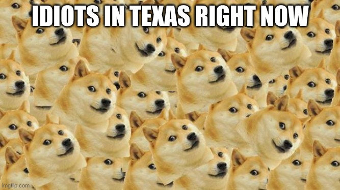 Multi Doge Meme | IDIOTS IN TEXAS RIGHT NOW | image tagged in memes,multi doge | made w/ Imgflip meme maker