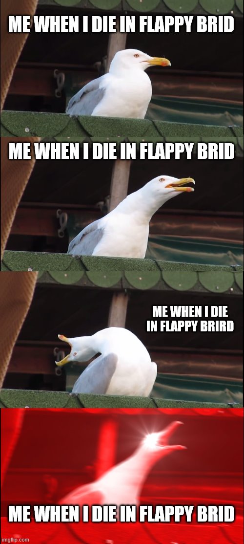 Inhaling Seagull Meme | ME WHEN I DIE IN FLAPPY BRID; ME WHEN I DIE IN FLAPPY BRID; ME WHEN I DIE IN FLAPPY BRIRD; ME WHEN I DIE IN FLAPPY BRID | image tagged in memes,inhaling seagull | made w/ Imgflip meme maker