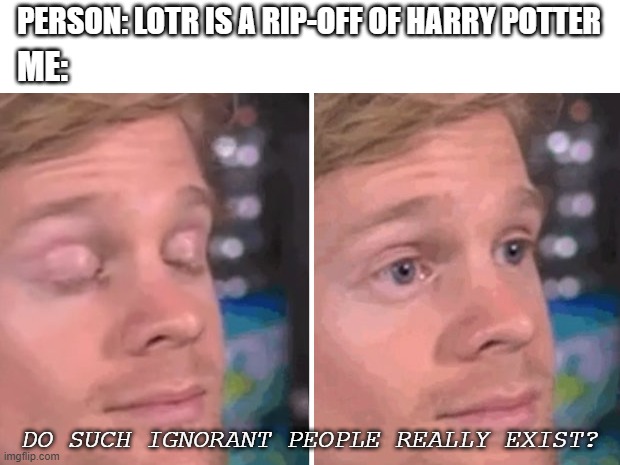 White guy blinking | PERSON: LOTR IS A RIP-OFF OF HARRY POTTER; ME:; DO SUCH IGNORANT PEOPLE REALLY EXIST? | image tagged in white guy blinking | made w/ Imgflip meme maker
