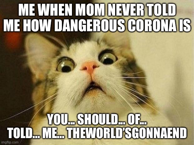 Scared Cat Meme | ME WHEN MOM NEVER TOLD ME HOW DANGEROUS CORONA IS; YOU... SHOULD... OF... TOLD... ME... THEWORLD’SGONNAEND | image tagged in memes,scared cat | made w/ Imgflip meme maker