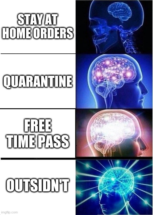 Expanding Brain | STAY AT HOME ORDERS; QUARANTINE; FREE TIME PASS; OUTSIDN'T | image tagged in memes,expanding brain | made w/ Imgflip meme maker