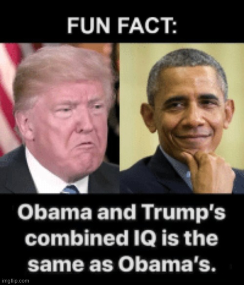 Trump sucks | image tagged in donald trump,funny,memes,obama,barack obama,iq | made w/ Imgflip meme maker