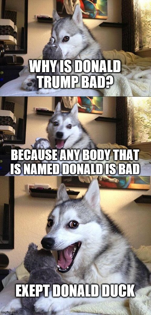 Bad Pun Dog Meme | WHY IS DONALD TRUMP BAD? BECAUSE ANY BODY THAT IS NAMED DONALD IS BAD; EXEPT DONALD DUCK | image tagged in memes,bad pun dog | made w/ Imgflip meme maker