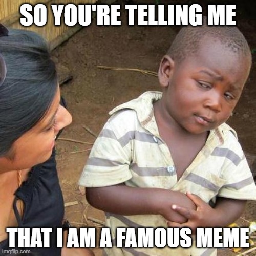 Third World Skeptical Kid | SO YOU'RE TELLING ME; THAT I AM A FAMOUS MEME | image tagged in memes,third world skeptical kid | made w/ Imgflip meme maker