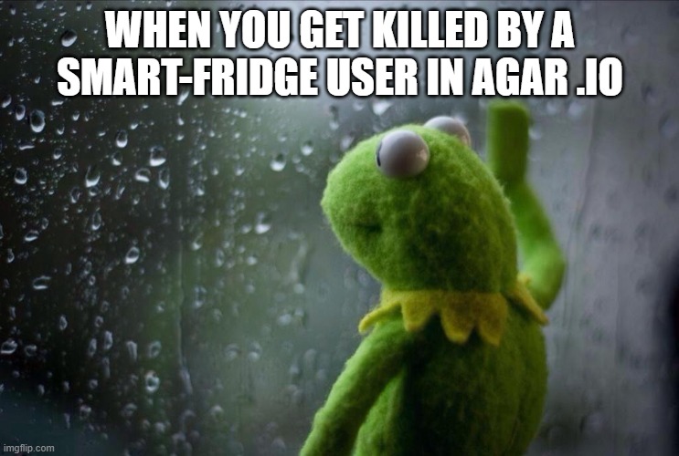 Sad Kermit | WHEN YOU GET KILLED BY A SMART-FRIDGE USER IN AGAR .IO | image tagged in sad kermit | made w/ Imgflip meme maker