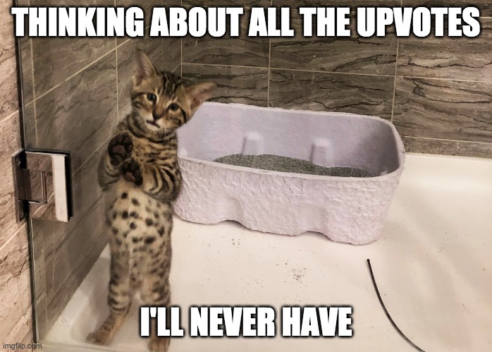 Quarantine Kitty | THINKING ABOUT ALL THE UPVOTES; I'LL NEVER HAVE | image tagged in quarantine kitty | made w/ Imgflip meme maker