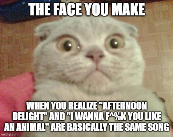 Stunned Cat |  THE FACE YOU MAKE; WHEN YOU REALIZE "AFTERNOON DELIGHT" AND "I WANNA F^%K YOU LIKE AN ANIMAL" ARE BASICALLY THE SAME SONG | image tagged in stunned cat | made w/ Imgflip meme maker
