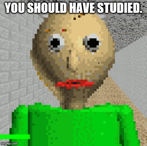 Baldi | YOU SHOULD HAVE STUDIED. | image tagged in baldi | made w/ Imgflip meme maker