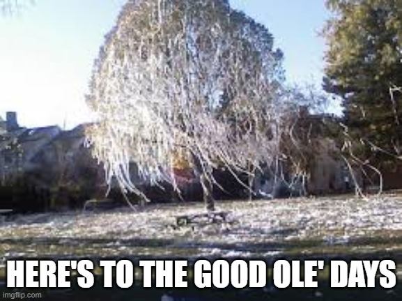The good ole' days | HERE'S TO THE GOOD OLE' DAYS | image tagged in toilet paper,toilet paer houses,the good old days,remember when,pranks,2020 | made w/ Imgflip meme maker