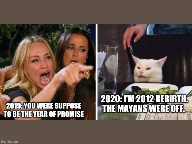 Smudge the cat | 2020: I'M 2012 REBIRTH. THE MAYANS WERE OFF. 2019: YOU WERE SUPPOSE TO BE THE YEAR OF PROMISE | image tagged in smudge the cat | made w/ Imgflip meme maker