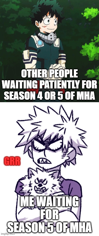 Waiting for mha | OTHER PEOPLE WAITING PATIENTLY FOR SEASON 4 OR 5 OF MHA; GRR; ME WAITING FOR SEASON 5 OF MHA | image tagged in mha,my hero acidemia,finishing anime | made w/ Imgflip meme maker