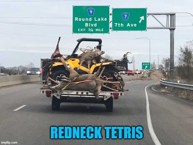 Redneck tetris | REDNECK TETRIS | image tagged in redneck tetris | made w/ Imgflip meme maker