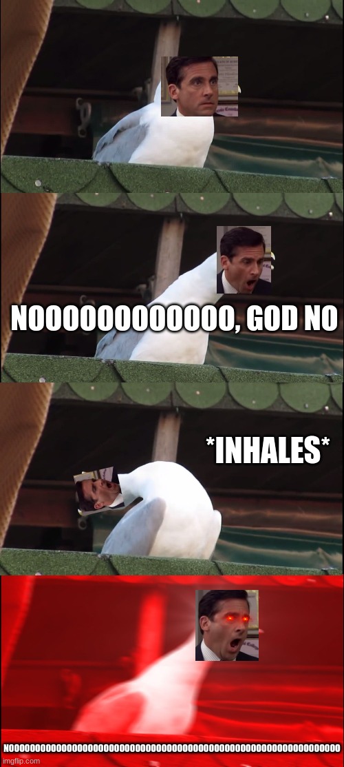 NOOOOOOOOOOOOOOO | NOOOOOOOOOOOO, GOD NO; *INHALES*; NOOOOOOOOOOOOOOOOOOOOOOOOOOOOOOOOOOOOOOOOOOOOOOOOOOOOOOOOOOOOOOO | image tagged in memes,inhaling seagull,god no god please no | made w/ Imgflip meme maker