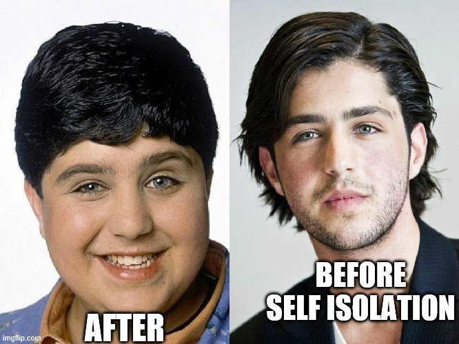 Josh Peck | BEFORE SELF ISOLATION; AFTER | image tagged in josh peck | made w/ Imgflip meme maker