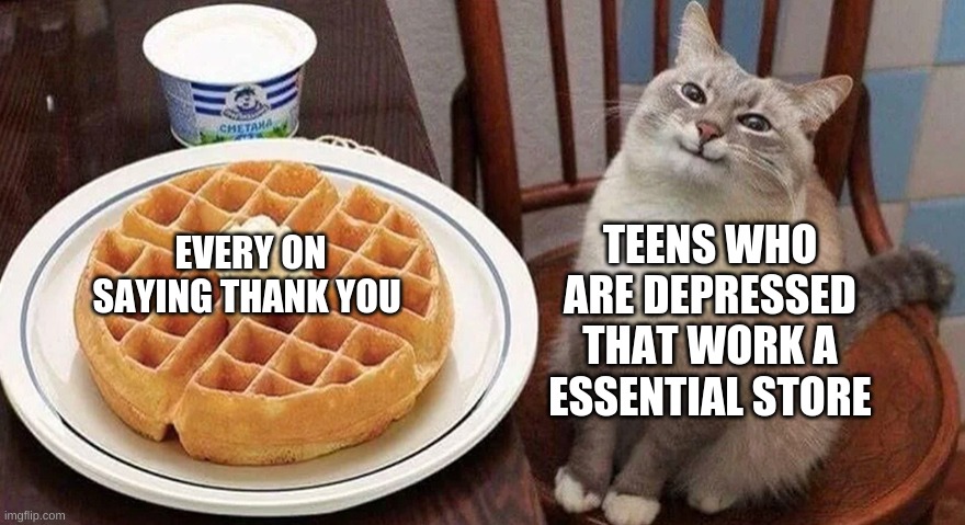 Cat with Waffle | EVERY ON SAYING THANK YOU; TEENS WHO ARE DEPRESSED THAT WORK A ESSENTIAL STORE | image tagged in cat with waffle | made w/ Imgflip meme maker