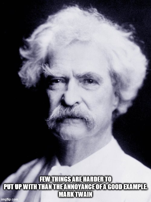 Mark Twain quote on annoyance | FEW THINGS ARE HARDER TO PUT UP WITH THAN THE ANNOYANCE OF A GOOD EXAMPLE.
MARK TWAIN | image tagged in inspirational quote | made w/ Imgflip meme maker