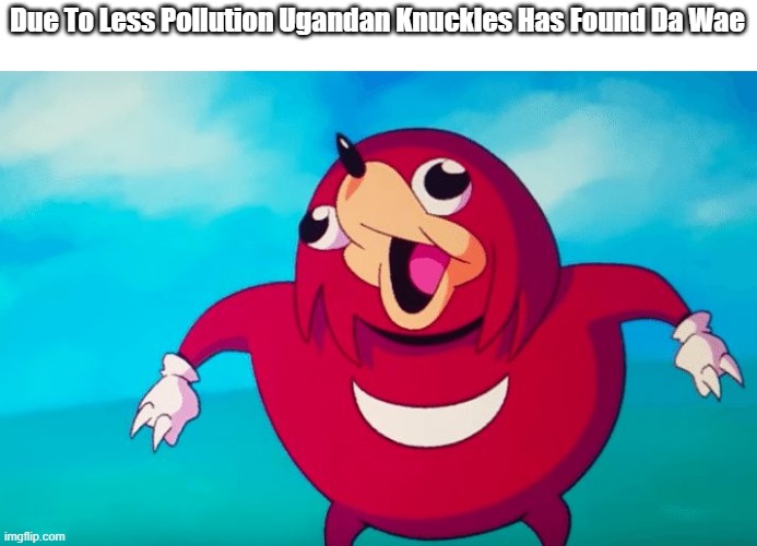 Ugandan Knuckles | Due To Less Pollution Ugandan Knuckles Has Found Da Wae | image tagged in ugandan knuckles | made w/ Imgflip meme maker
