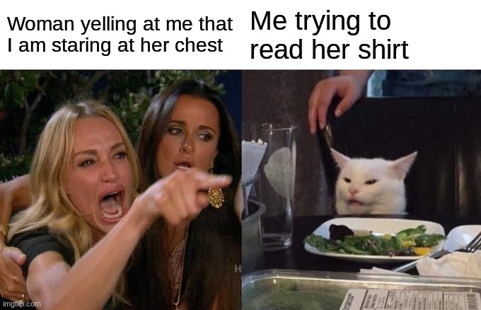 Woman Yelling At Cat Meme | Woman yelling at me that I am staring at her chest; Me trying to read her shirt | image tagged in memes,woman yelling at cat | made w/ Imgflip meme maker