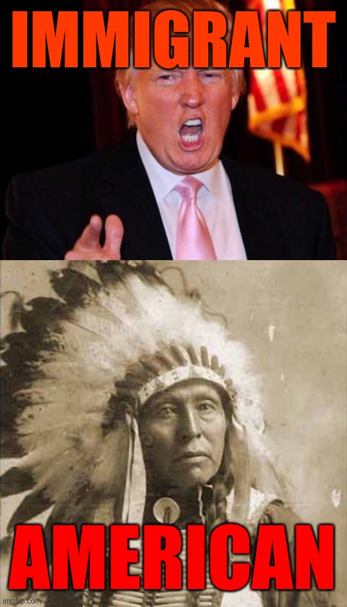 Donald Trump and Native American | IMMIGRANT; AMERICAN | image tagged in donald trump and native american | made w/ Imgflip meme maker