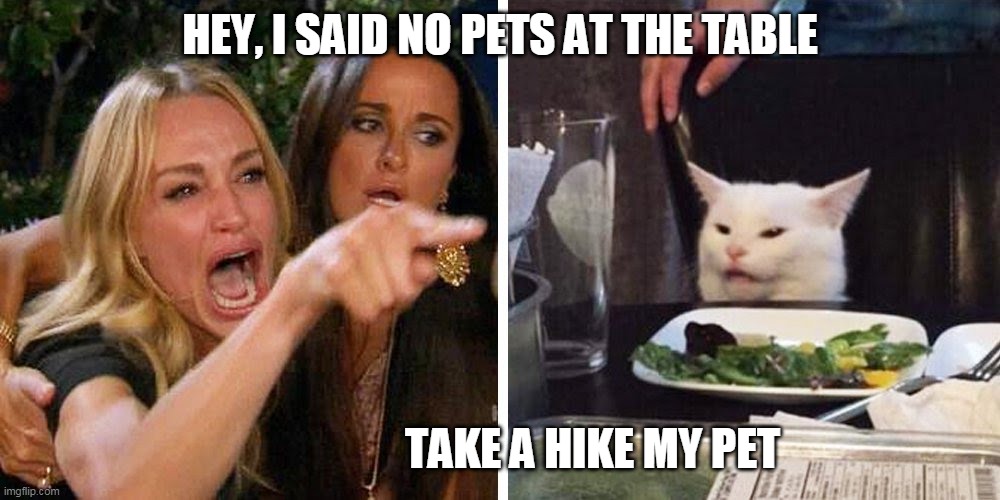 Smudge the cat | HEY, I SAID NO PETS AT THE TABLE; TAKE A HIKE MY PET | image tagged in smudge the cat | made w/ Imgflip meme maker
