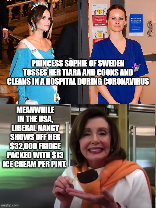 politics | PRINCESS SOPHIE OF SWEDEN TOSSES HER TIARA AND COOKS AND CLEANS IN A HOSPITAL DURING CORONAVIRUS; MEANWHILE IN THE USA, LIBERAL NANCY SHOWS OFF HER $32,000 FRIDGE PACKED WITH $13 ICE CREAM PER PINT. | image tagged in political meme | made w/ Imgflip meme maker