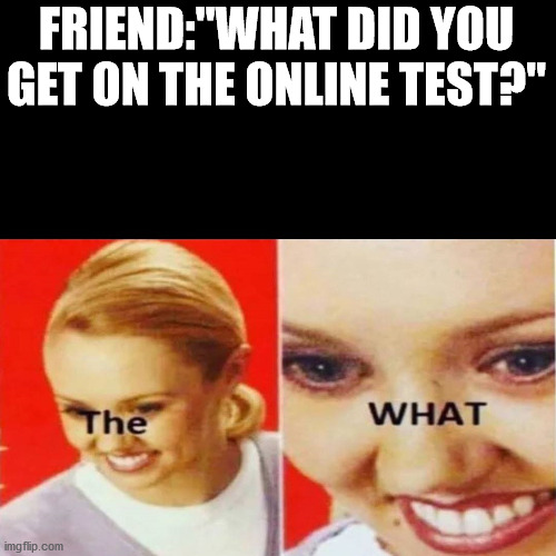 The What | FRIEND:"WHAT DID YOU GET ON THE ONLINE TEST?" | image tagged in the what | made w/ Imgflip meme maker