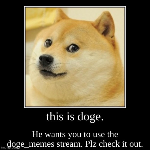 this is doge. | He wants you to use the doge_memes stream. Plz check it out. | image tagged in funny,demotivationals | made w/ Imgflip demotivational maker