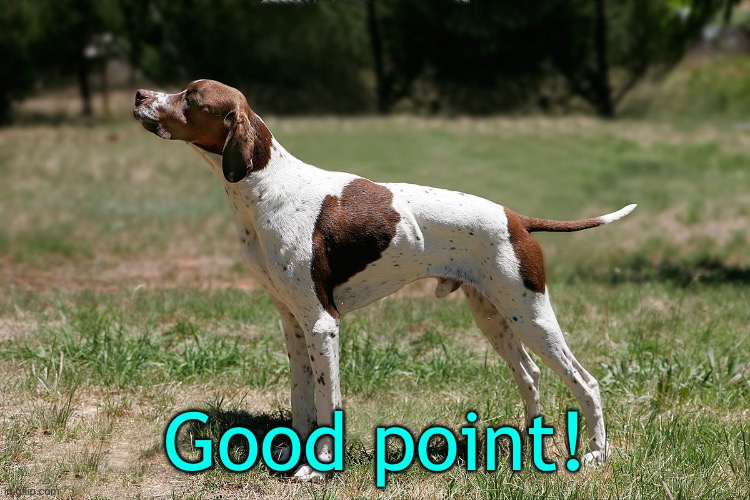 Good point! | made w/ Imgflip meme maker