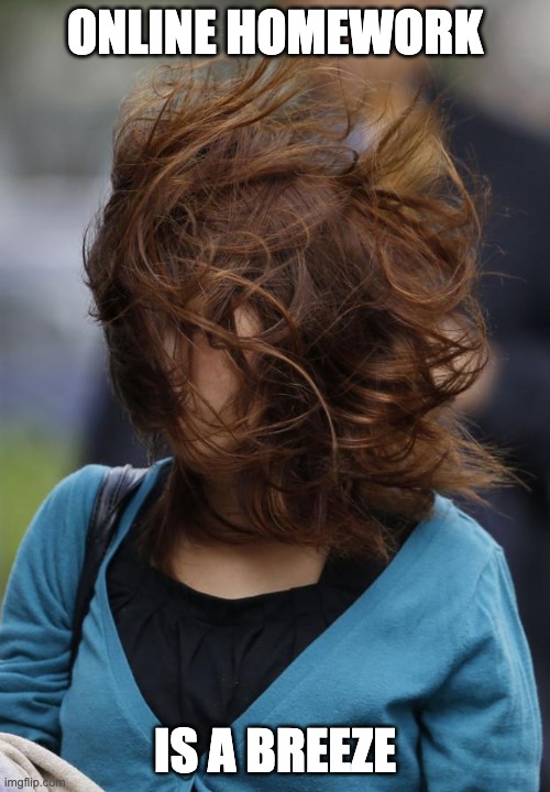 hair wind girl windy | ONLINE HOMEWORK; IS A BREEZE | image tagged in hair wind girl windy | made w/ Imgflip meme maker