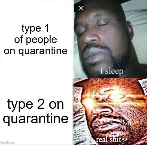 Sleeping Shaq Meme | type 1 of people on quarantine; type 2 on quarantine | image tagged in memes,sleeping shaq | made w/ Imgflip meme maker