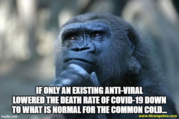 Deep Thoughts | IF ONLY AN EXISTING ANTI-VIRAL LOWERED THE DEATH RATE OF COVID-19 DOWN TO WHAT IS NORMAL FOR THE COMMON COLD... | image tagged in deep thoughts | made w/ Imgflip meme maker