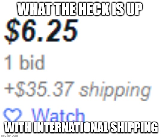 Like, really? |  WHAT THE HECK IS UP; WITH INTERNATIONAL SHIPPING | image tagged in shipping,ebay,wtf | made w/ Imgflip meme maker