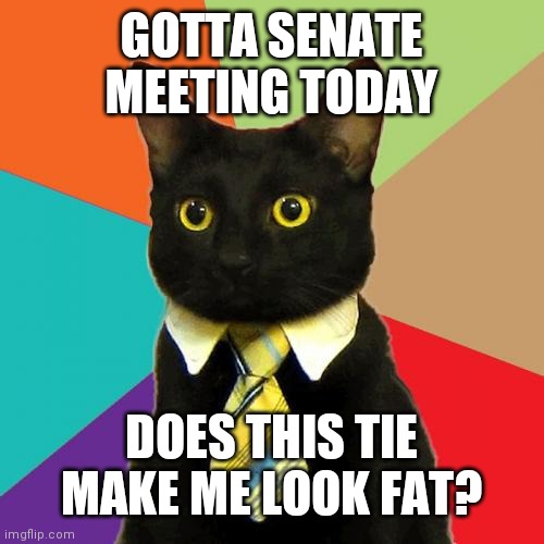 Business Cat | GOTTA SENATE MEETING TODAY; DOES THIS TIE MAKE ME LOOK FAT? | image tagged in memes,business cat | made w/ Imgflip meme maker