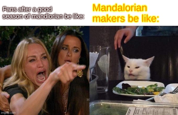 Woman Yelling At Cat Meme | Fans after a good season of mandlorian be like:; Mandalorian makers be like: | image tagged in memes,woman yelling at cat | made w/ Imgflip meme maker