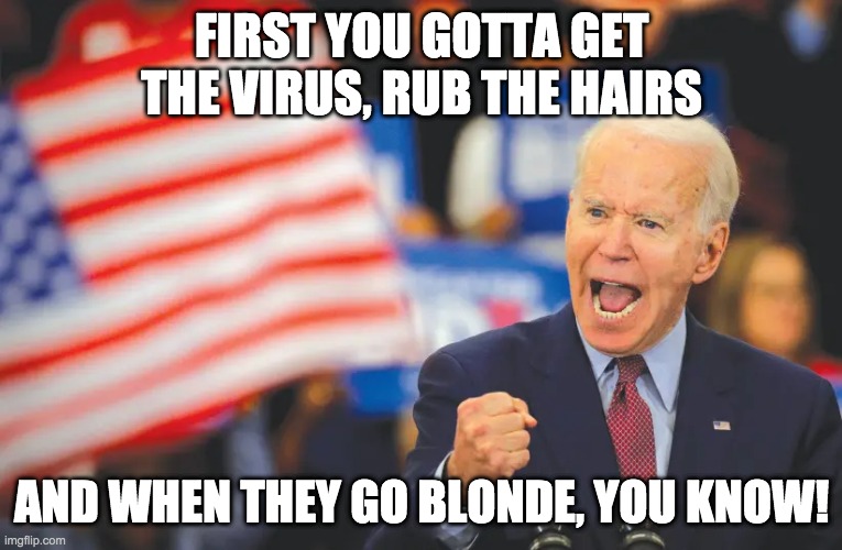 FIRST YOU GOTTA GET THE VIRUS, RUB THE HAIRS; AND WHEN THEY GO BLONDE, YOU KNOW! | image tagged in joe biden,trump2020 | made w/ Imgflip meme maker