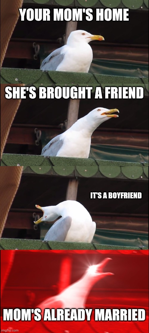 Inhaling Seagull | YOUR MOM'S HOME; SHE'S BROUGHT A FRIEND; IT'S A BOYFRIEND; MOM'S ALREADY MARRIED | image tagged in memes,inhaling seagull | made w/ Imgflip meme maker