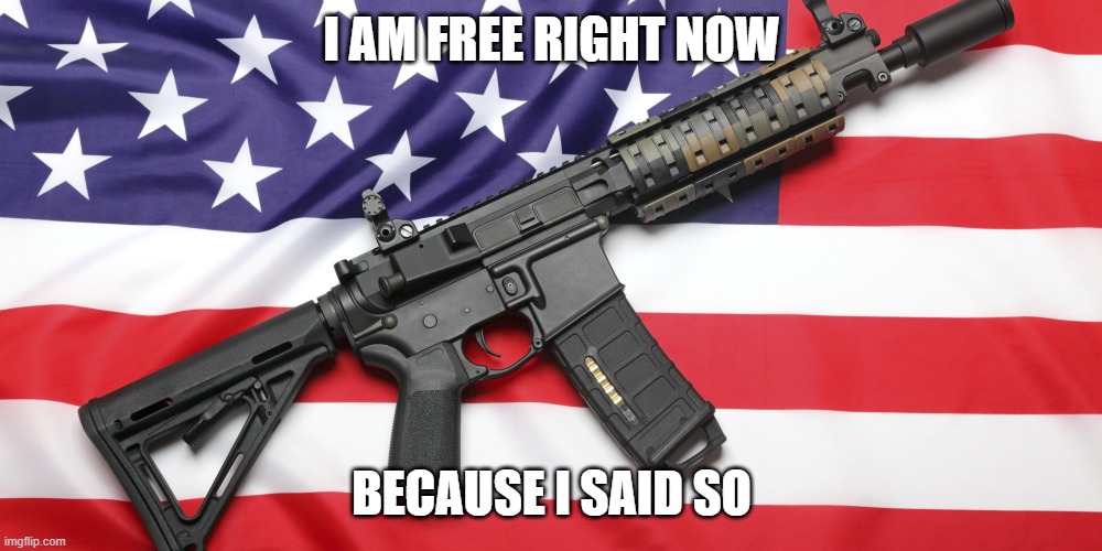 AR-15 and USA Flag | I AM FREE RIGHT NOW BECAUSE I SAID SO | image tagged in ar-15 and usa flag | made w/ Imgflip meme maker