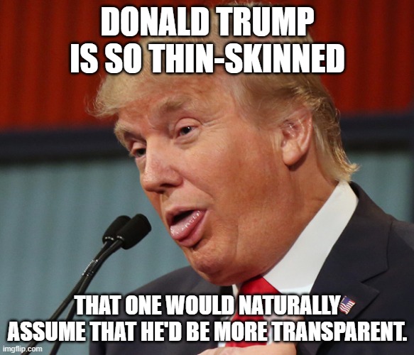 Trump Idiot | DONALD TRUMP IS SO THIN-SKINNED; THAT ONE WOULD NATURALLY ASSUME THAT HE'D BE MORE TRANSPARENT. | image tagged in donald trump,thin-skinned,transparent | made w/ Imgflip meme maker