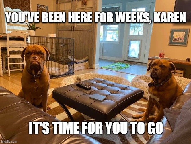 YOU'VE BEEN HERE FOR WEEKS, KAREN; IT'S TIME FOR YOU TO GO | image tagged in quarantine,dogs | made w/ Imgflip meme maker